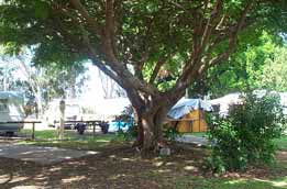 Donnybrook Caravan Park - Hotel Accommodation 1