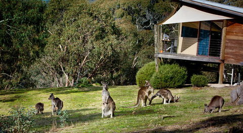 Eagle View Escape - Hotel Accommodation 3