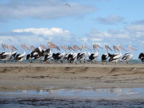 Flinders Bay Caravan Park - Hotel Accommodation 5