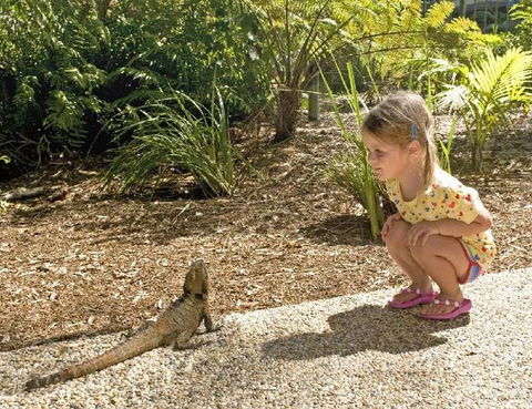 Flynns Beach Resort - Hotel Accommodation 3