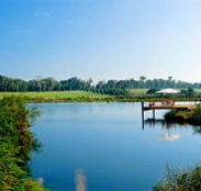 Forest Rise Eco Retreat - Hotel Accommodation