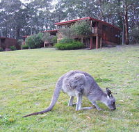 Jenolan Caves Cottages - Hotel Accommodation