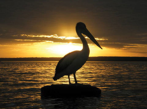 King George Retreat - Hotel Accommodation 1