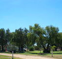 Lockhart Caravan Park - Hotel Accommodation