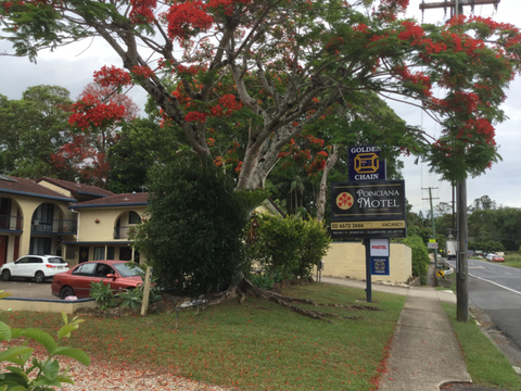 Murwillumbah Gallery Motel - Hotel Accommodation 4
