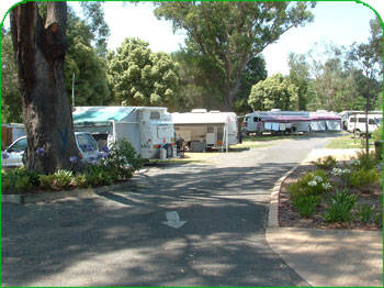 Mittagong Caravan Park - Hotel Accommodation 1
