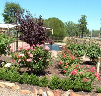 Newell Motor Inn - Hotel Accommodation