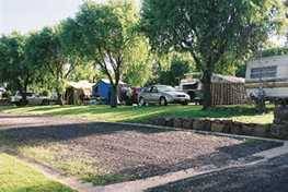 Poplar Caravan Park - Hotel Accommodation 3
