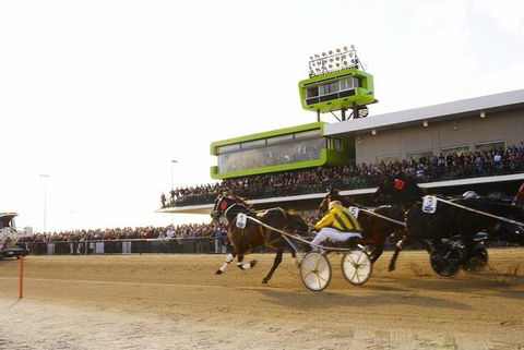 Quality Hotel Tabcorp Park - Hotel Accommodation 2