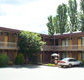 Red Cedars Motel - Hotel Accommodation