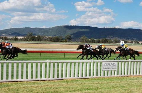 Scone Motor Inn - Hotel Accommodation 1