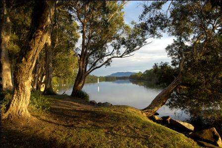 South West Rocks Tourist Park - Hotel Accommodation 2