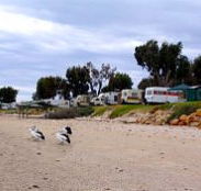 Stansbury Foreshore Caravan Park - Hotel Accommodation