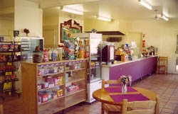 Sun Valley Tourist Park - Hotel Accommodation 1