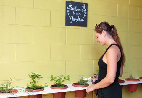 Cairns Central YHA - Hotel Accommodation 9