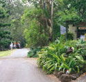 Tamborine Mountain Caravan  Camping - Hotel Accommodation