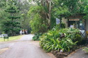 Tamborine Mountain Caravan & Camping - Hotel Accommodation 0