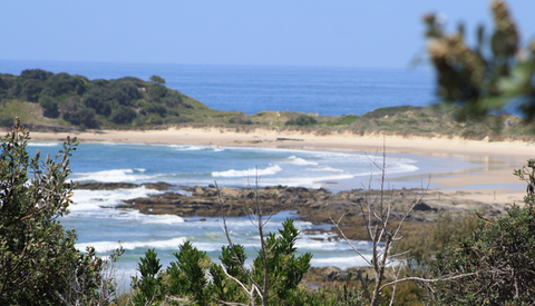 The Bowlo Holiday Cabins - Hotel Accommodation 0