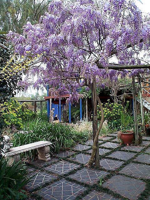 The Retreat At Froog Moore Park - Hotel Accommodation 2