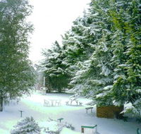 Titania Motel - Hotel Accommodation