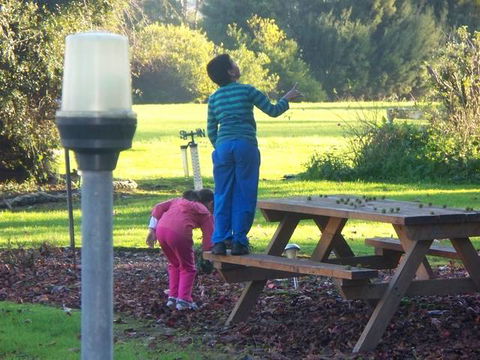 Toora Lodge Motel - Hotel Accommodation 2