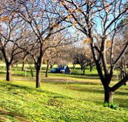 Wellington Caves Caravan Park - Hotel Accommodation