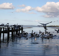 Pelicans At Denmark - Holiday Home - Hotel Accommodation