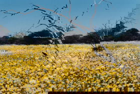 Devils Creek WA Hotel Accommodation