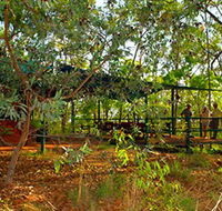 Arnhemland Barramundi Nature Lodge - Hotel Accommodation