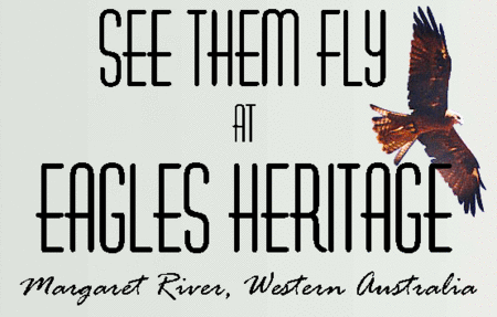 Eagles Heritage Raptor Wildlife Centre - Hotel Accommodation