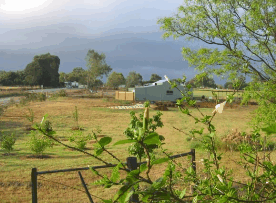 The House Of Honey - Hotel Accommodation 2