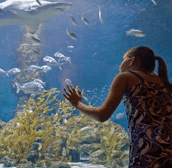 The Aquarium of Western Australia - Hotel Accommodation