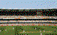 The Gabba Cricket Ground Venue Tours - thumb 2