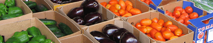 Brisbane Markets - Hotel Accommodation 3