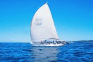 Manly Harbour Village - Hotel Accommodation
