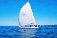 Manly Harbour Village - Hotel Accommodation 0