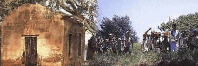 St Helena Island - Hotel Accommodation 1