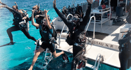 Snorkel Safari Brisbane - Hotel Accommodation 0