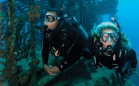 Snorkel Safari Brisbane - Hotel Accommodation 2