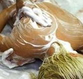 Exotique Massage - Hotel Accommodation
