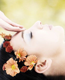 Retreat In The Suburbs - Hotel Accommodation 2