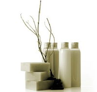 Oasis Day Spa - Hotel Accommodation