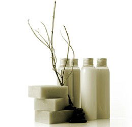 Oasis Day Spa - Hotel Accommodation 0