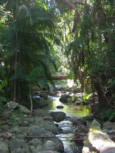 Thunderbird Park - Hotel Accommodation 2