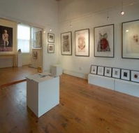 Bird's Gallery - Hotel Accommodation