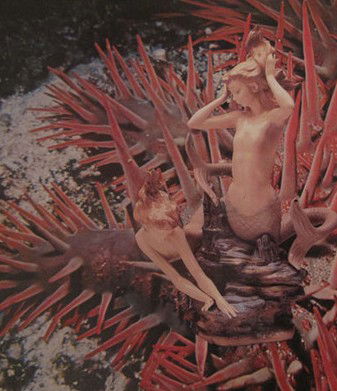 Bower Gallery - Hotel Accommodation 1