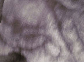 69 Smith Street - Hotel Accommodation 1