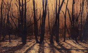 69 Smith Street - Hotel Accommodation 2