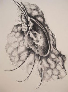 The Library Artspace - Hotel Accommodation 1