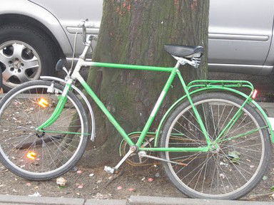 The Library Artspace - Hotel Accommodation 2